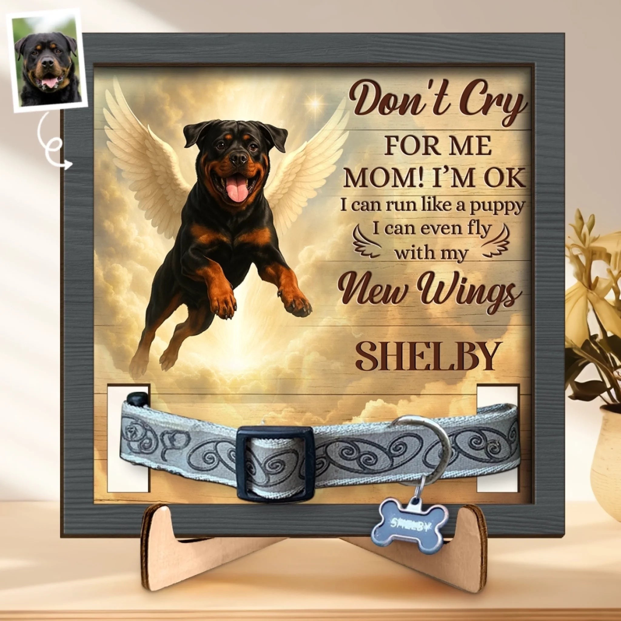 Custom Photo Pet Loss Sign, Collar Frame - Personalized Pet Memorial Sympathy Gifts For Dogs